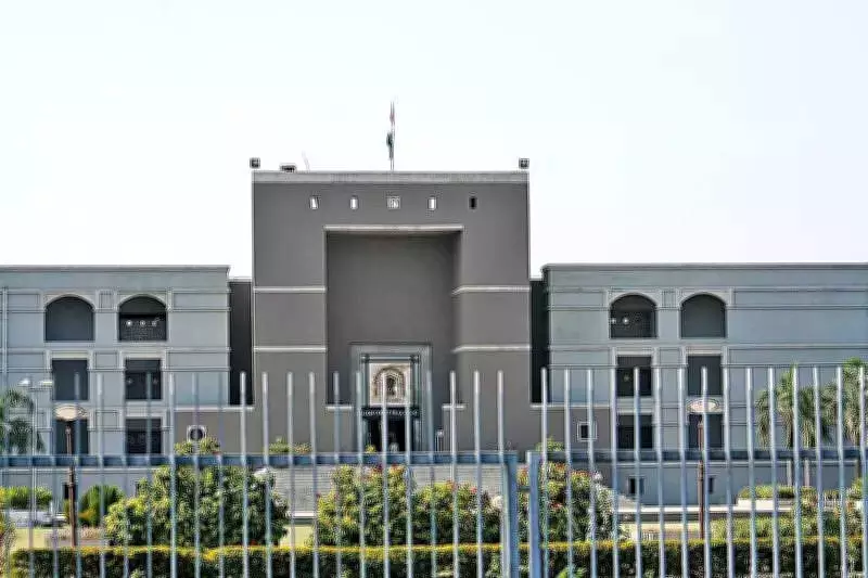 Gujarat Panchayat Member Challenges Disqualification Over Two-Child Norm in High Court