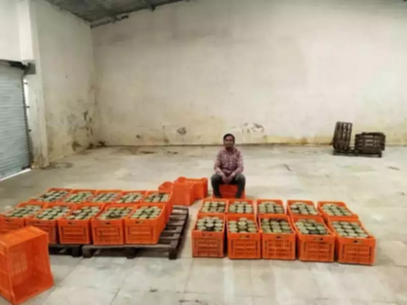 Gujarat Police Seize 16,000 Litres of Expired Mango Juice in Food Safety Raid