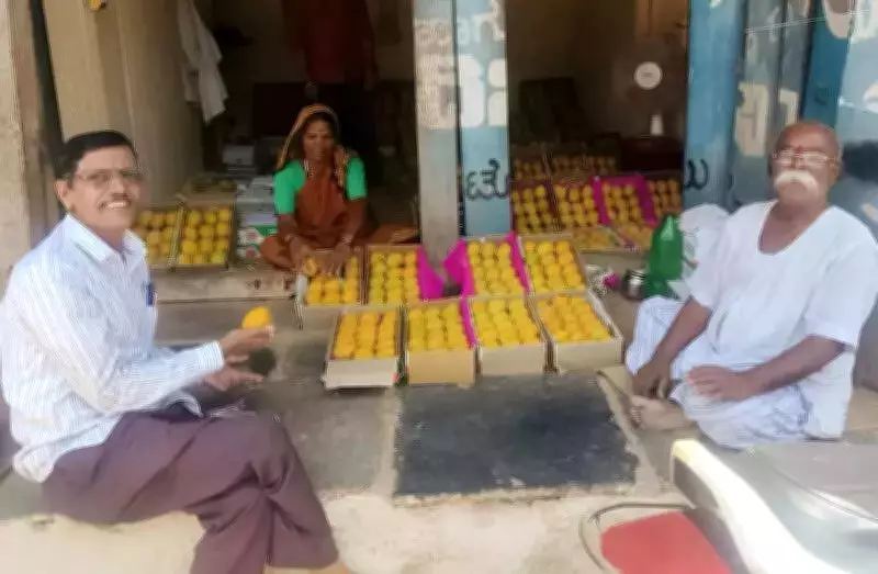 Gulf Conflict Forces Karnataka Mango Growers to Diversify Export Markets
