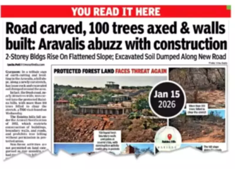 Gurgaon DC Forms Joint Panel to Probe Illegal Tree Felling, Construction in Aravalis