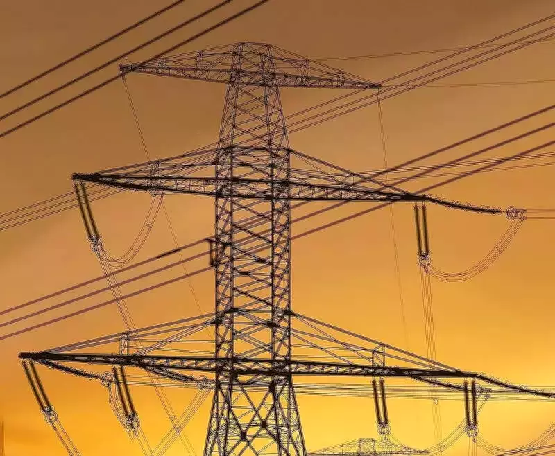 Gurgaon's LPG Shortage Sparks Surge in Electricity Use as Residents Turn to Induction Cooktops