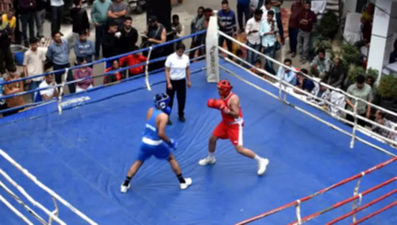 Hamirpur Hosts Youth Boxing Championship, Showcasing Future Talent