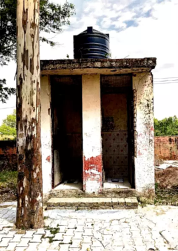 Haryana Education Department Directs Government Schools to Address Infrastructure Deficiencies