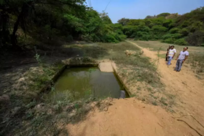 Haryana Forest Department Issues Damage Report to MCG Over Pipeline in Aravali