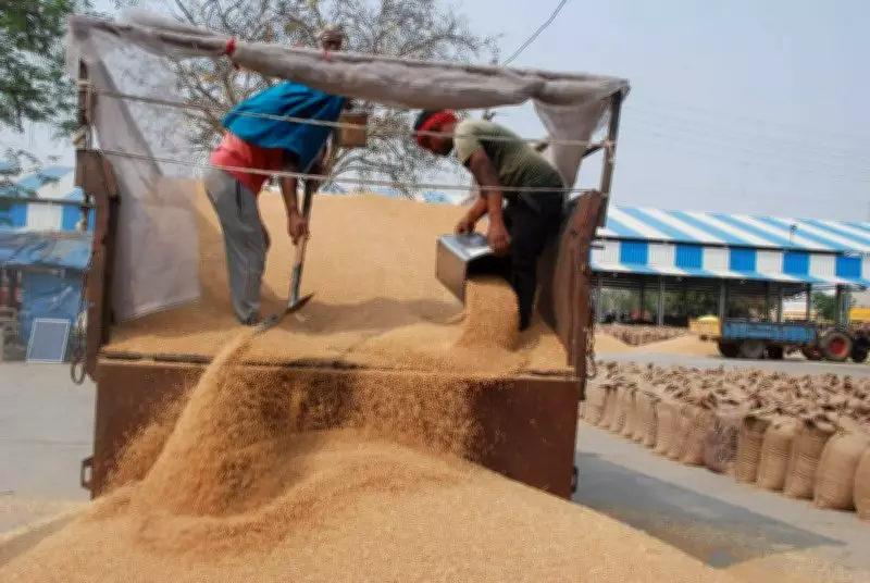 Haryana Government Unveils Major Reforms in Wheat Procurement to Combat Fraud