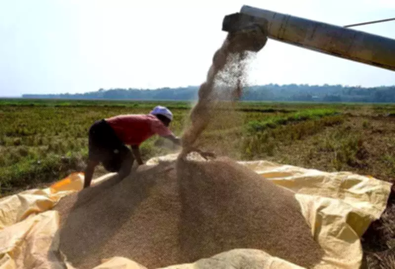 Haryana Paddy Scam Unravels: Rs 5.8 Crore Embezzlement Case Filed in Kurukshetra