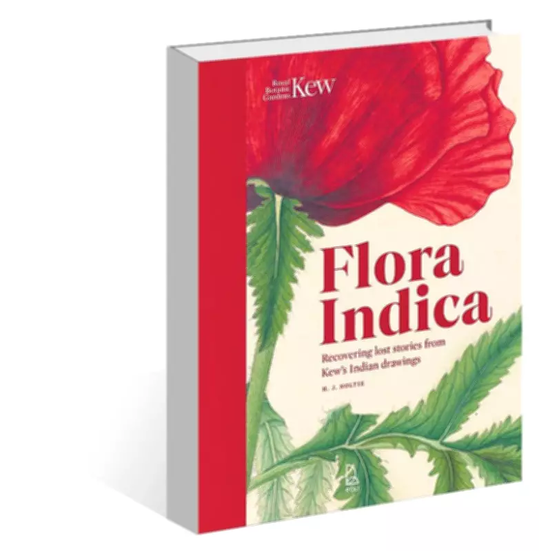 Henry Noltie's 'Flora Indica' Revives Lost Indian Botanical Artists