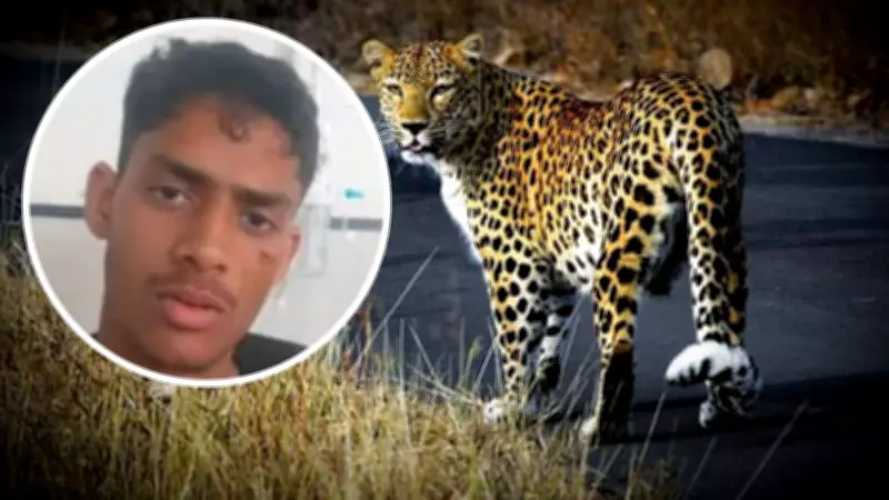 Himachal Youth Kills Leopard After 12-Minute Struggle in Solan Village