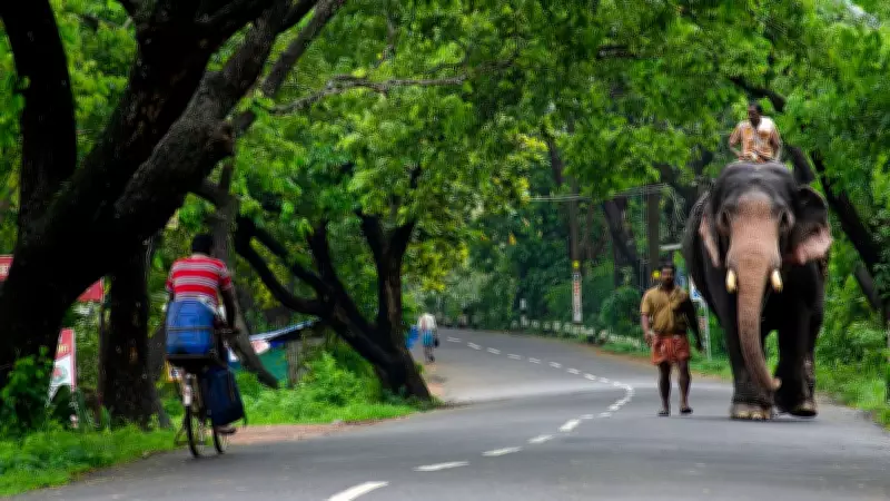Human-Animal Conflict Becomes Key Election Issue in Kerala's Wayanad for 2026