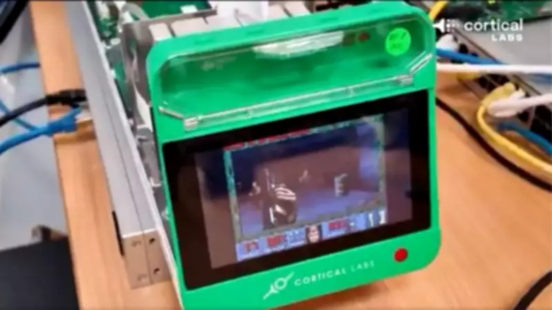 Human Brain Cells Learn to Play Doom in Groundbreaking Biological Computing Experiment