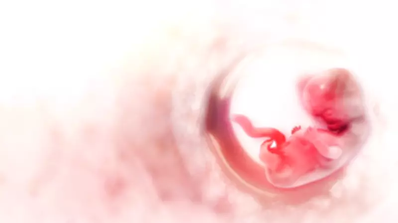 Human Eggs Exhibit Microscopic 'Mate Choice' by Selecting Sperm, Scientists Discover