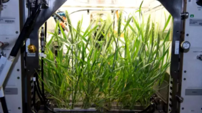 Human Waste Recycling Could Enable Farming on Moon and Mars, Scientists Reveal