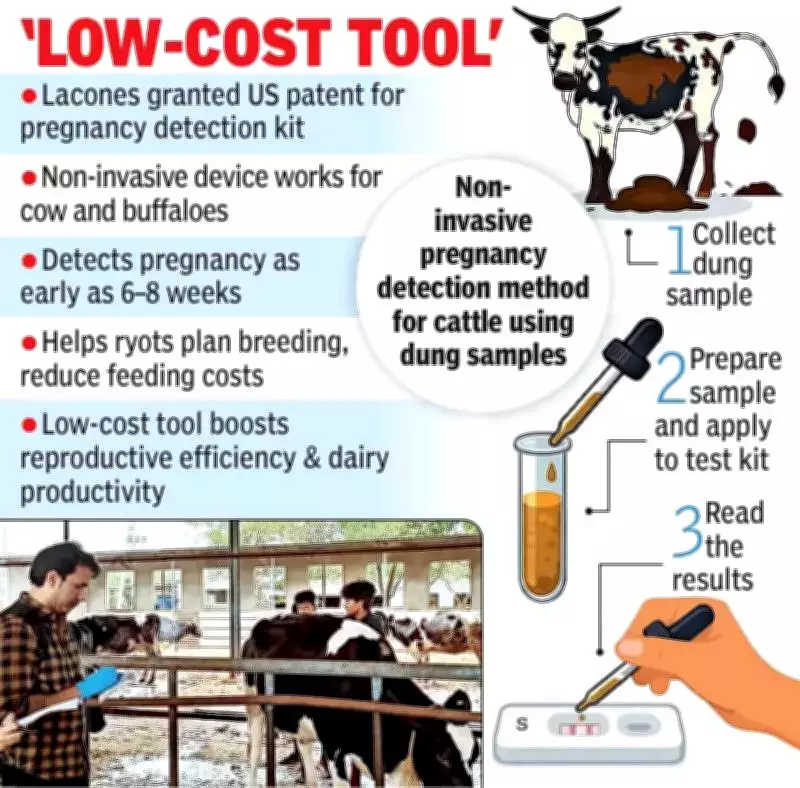 Hyderabad Lab's US Patent for Cattle Pregnancy Kit Aids Indian Farmers