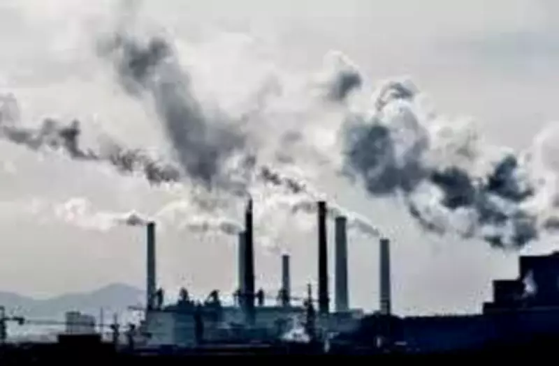 Hyderabad Pharma Units Shut in Fentanyl Probe; US Indictment Spurs Crackdown