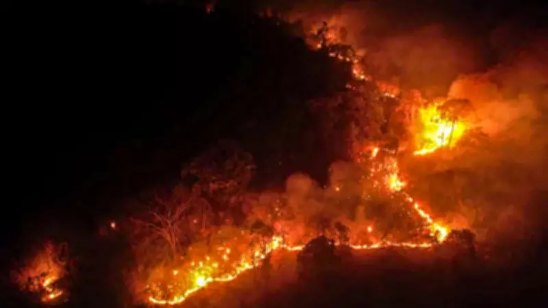 IAF Helicopters Battle Arunachal Forest Fire, Drop 1.62 Lakh Litres of Water