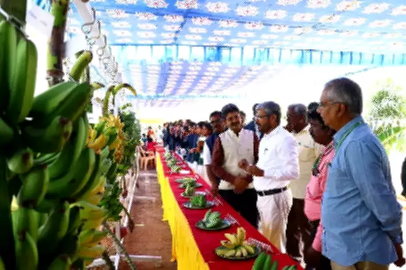 ICAR-NRCB Celebrates National Science Day, Highlights Women in Science for Viksit Bharat