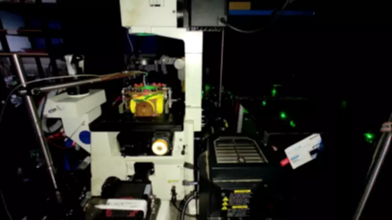 IISc Researchers Pioneer Magnetic Microbots to Steer Quantum Sensors Inside Living Cells