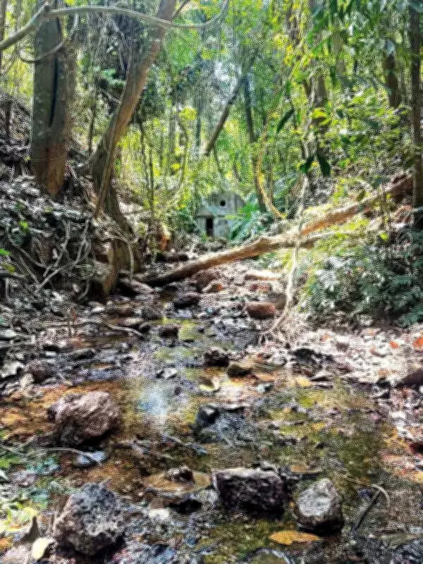 Illegal Hill-Cutting Threatens Historic 17th-Century Spring in Old Goa, Endangering Heritage
