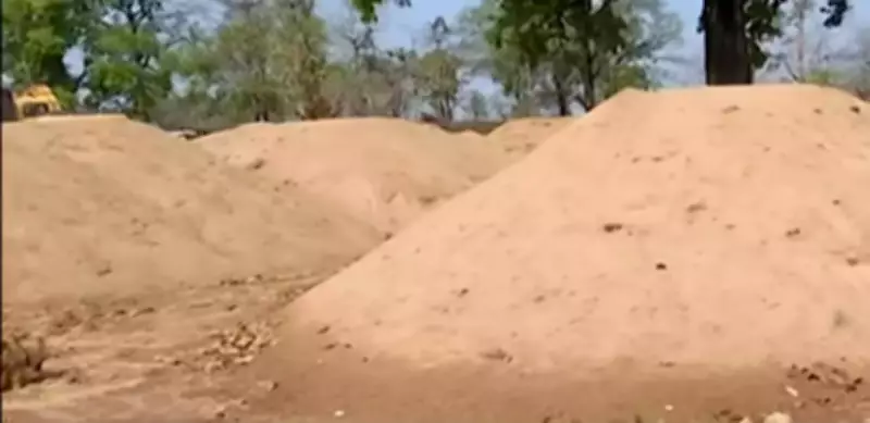 Illegal Sand Mining Rampant in Koraput's Saberi Riverbed, Authorities Urged to Act
