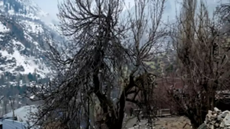 IMD Issues Yellow Alert for Rain, Snowfall in Himachal Pradesh from March 28