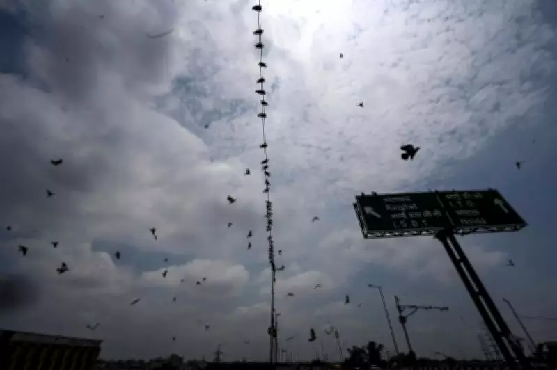IMD Issues Yellow Alert for Thunderstorms in Haryana, Temperatures to Dip