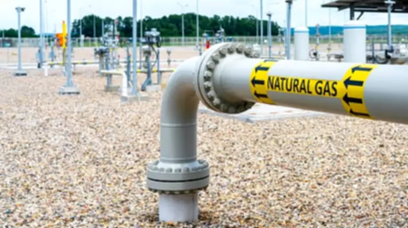 India Accelerates PNG Expansion, Grants 2.7 Lakh New Connections in March