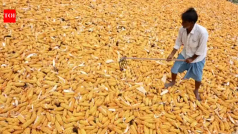 India Plans to Cut Broken Rice in PDS to Boost Ethanol Production