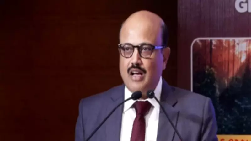 India Scrutinizes Legal Impact of US Industrial Capacity Investigations