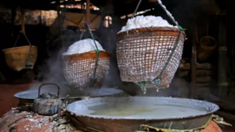 India to Divert 9 Million Tonnes of FCI Broken Rice for Ethanol Production