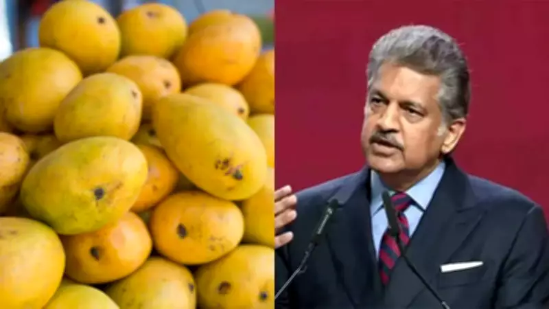 Indian Farmer's 'Sadabahar' Mango Yields Fruit 3 Times a Year, Wins Anand Mahindra's Support