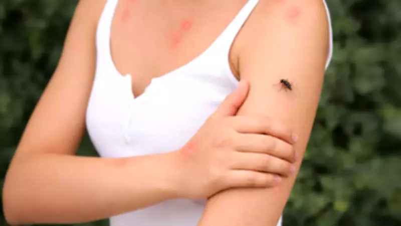 Indian Scientists Discover Camel Nanobodies That Neutralize All Dengue Virus Strains