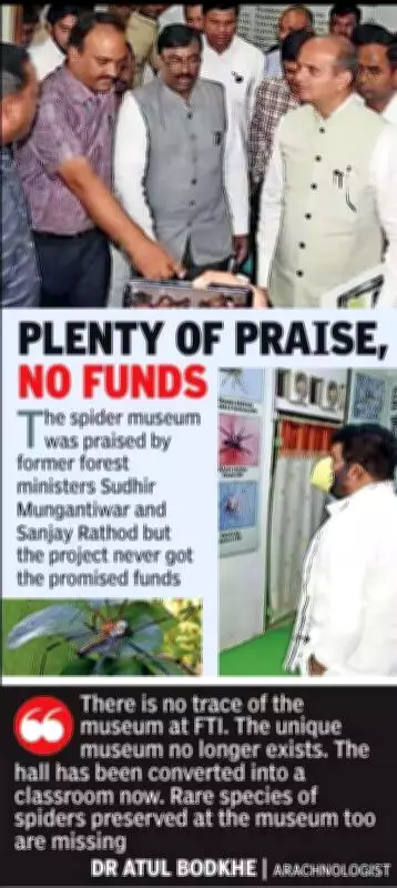 India's First National Spider Museum Vanishes in Bureaucratic Webs