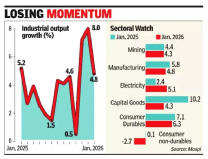 India's Industrial Growth Slows to 3-Month Low in January Amid Manufacturing Slump
