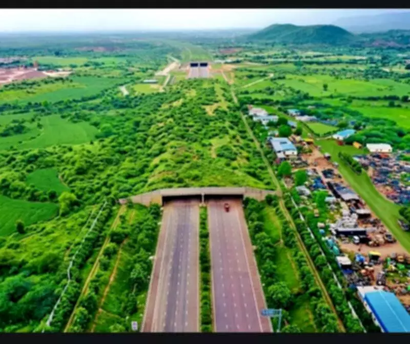 India's Longest Wildlife Crossing Takes Shape on Delhi-Mumbai Expressway
