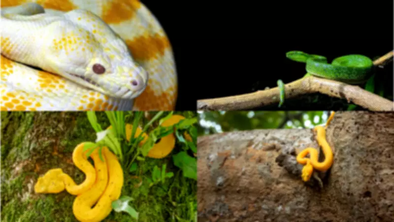 India's Snake-Infested Waters: 6 Unique Locations and Their Ecological Secrets