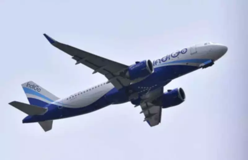 IndiGo Flight Grounded at Vijayawada Airport Due to Technical Snag