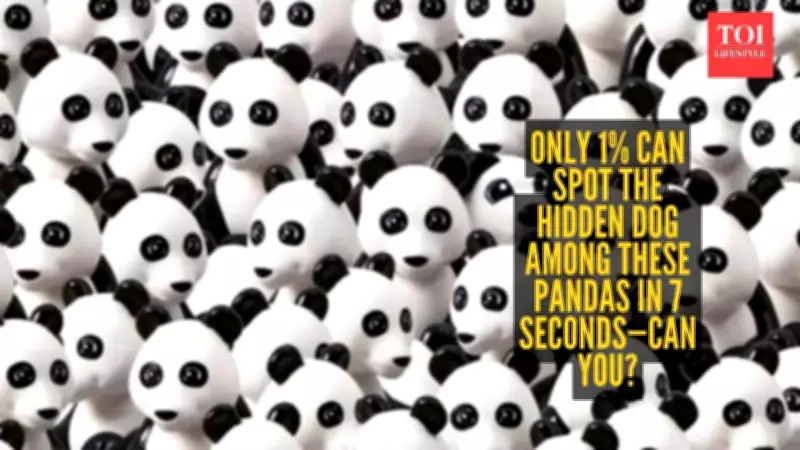 Internet's Latest Brain Teaser: Find the Hidden Dog in a Sea of Pandas