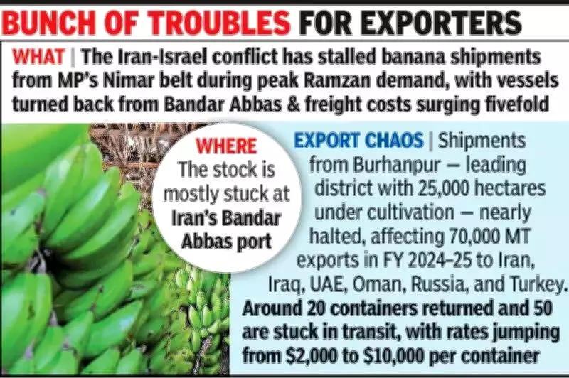 Iran-Israel Conflict Cripples India's Banana Exports, Prices Plummet