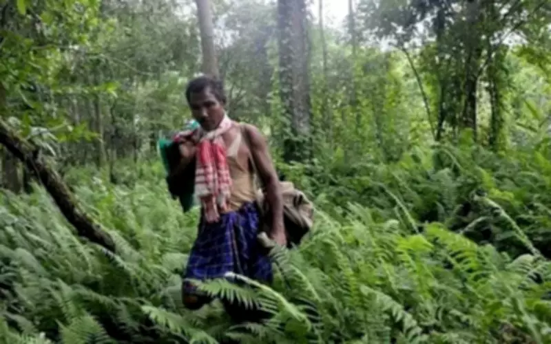Jadav Payeng: The Man Who Grew a 550-Hectare Forest Single-Handedly