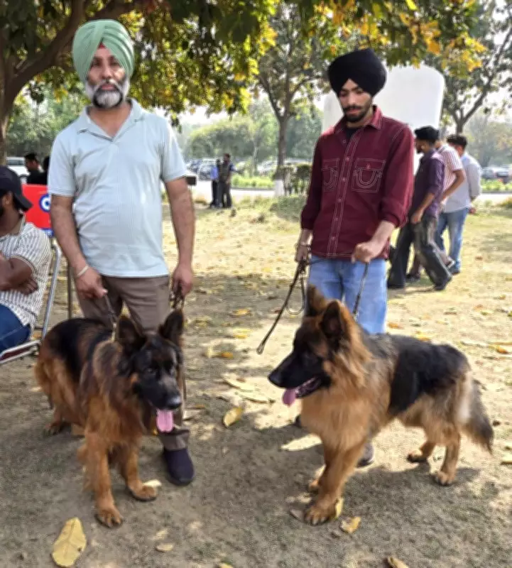Jalandhar Science City Transforms into Popular Hub for Dog Lovers and Pet Enthusiasts