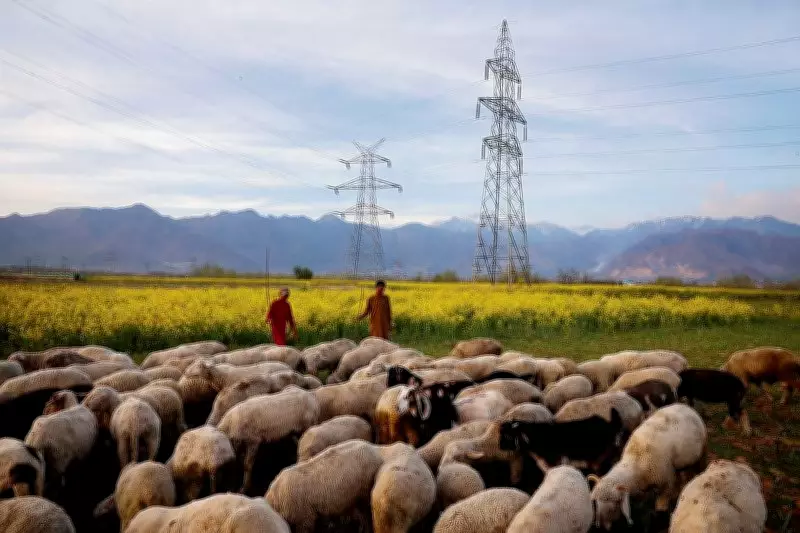 Jammu & Kashmir Braces for Fresh Rain and Snowfall from March 28, MeT Issues Advisory