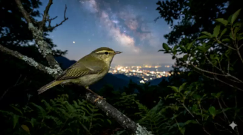 Japan's Hidden Bird: New Warbler Species Discovered After 40 Years