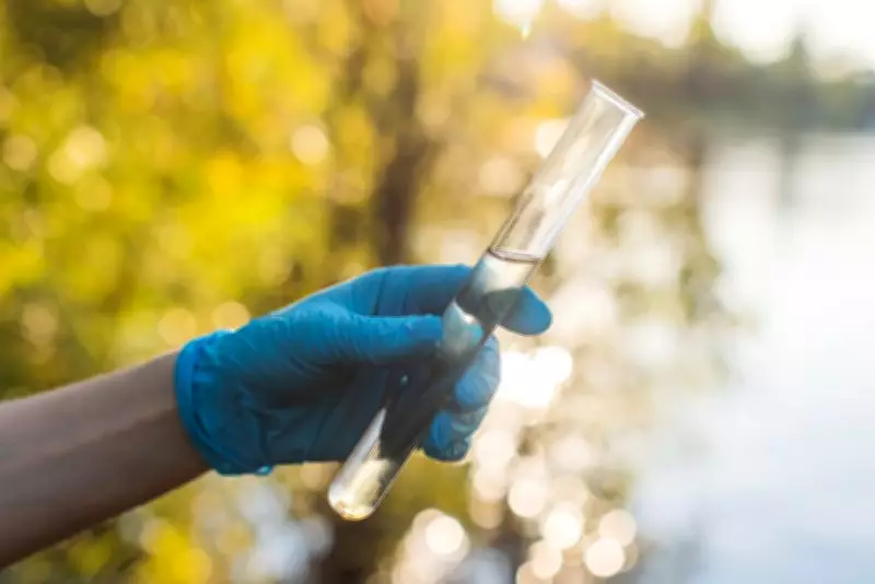 Jaundice Outbreak Hits Hamirpur: 39 Sick, Water Contamination Suspected