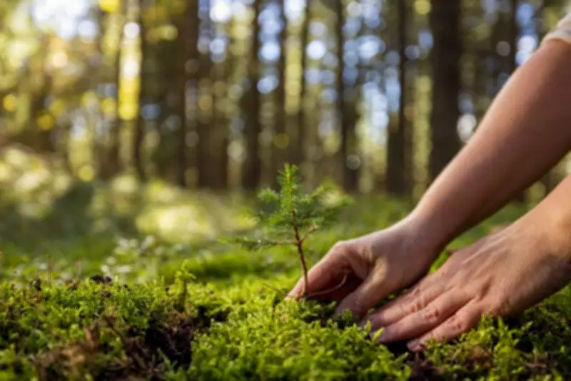 Jharkhand Forest Chief Urges Green Tech Adoption to Curb Environmental Harm