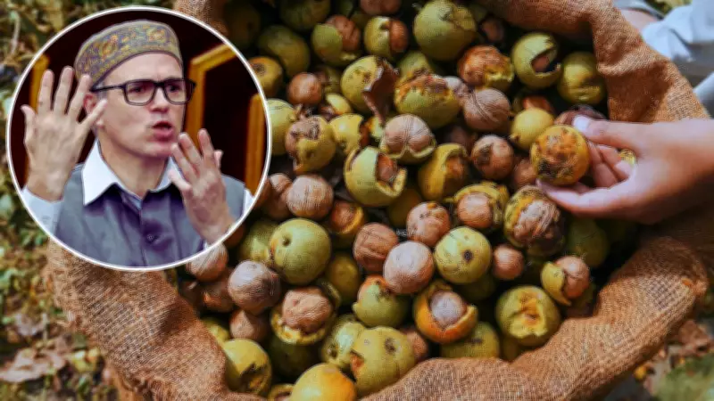 J&K CM Omar Abdullah Opposes Own Party MLA's Bill to Allow Walnut Tree Cutting