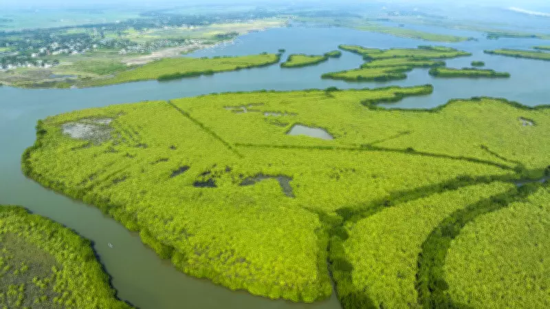 Justice Oka Demands Independent Probe into Mumbai's 45,000 Mangrove Loss