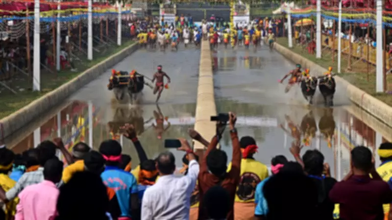 Kambala's Evolving Stride: Tradition Transforms Across Karnataka's Coastal Belt