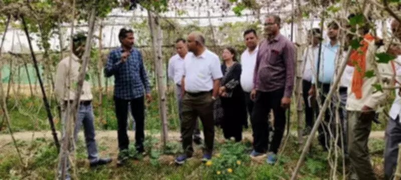 Kanpur's Bhiti Haweli Village Emerges as Multi-Layer Farming Model, Boosts Farmer Income