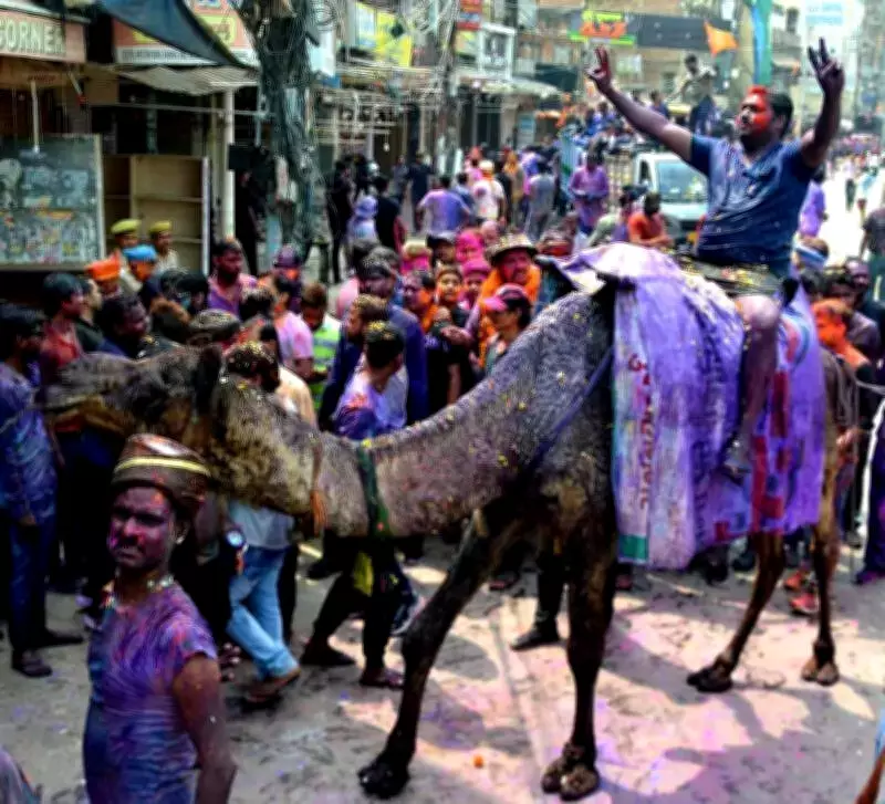 Kanpur's Holi Festivities Culminate with Grand Ganga Mela at Sarsaiya Ghat