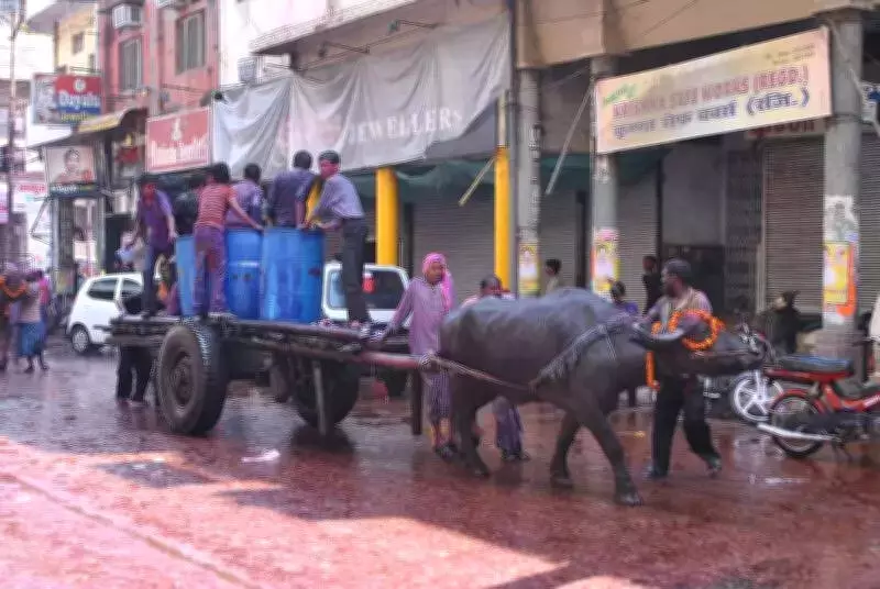 Kanpur's Holi Ganga Mela: A Week-Long Cultural Tribute to Freedom Struggle